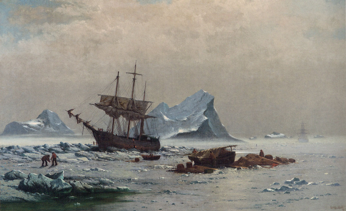 William Bradford