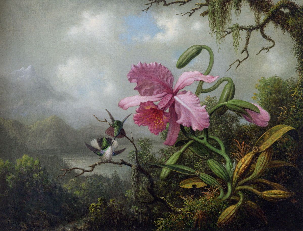 Martin Johnson Heade